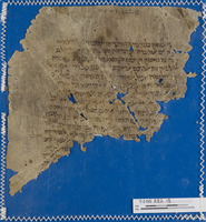 הלכה;מדעים;רפואה.