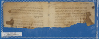 מדעים;רפואה.