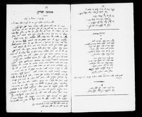 פרחי אביב.