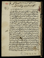 العجاجة الزرنبية في السلالة الزينبية.