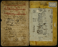 مسائل اليهود عن كلام البهائم وقصص الممسوخين.