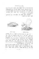 נאטורוויסענשפט : פאר שולען און אליינבילדונג / מ' בירנבוים, ד' קאסעל.