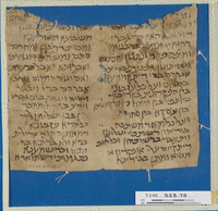 שטר מנוי לאפוטרופוס : קטע גניזה.