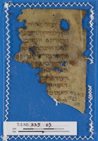 רשימות.