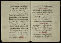 كامل الصناعتين البيطرة والزرطقة المعروف بالناصري.
