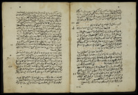الجواهر الزكية في حل الفاظ العشماوية.