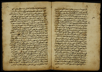 العقد المفرد في حكم الامرد.