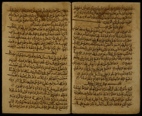 الجمهرة في اللغة : الجزء السادس منها.