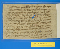 מכתבים;נספחות לחיבור.