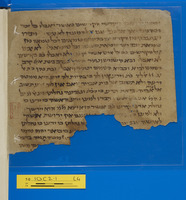 מדרש;פרשנות מקרא.