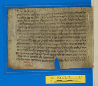 מדרש;פרשנות מקרא.