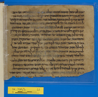 תשובות הגאונים.