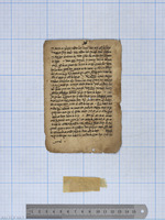 קצת אלמצרי ואלריפי.