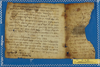 מדרש;מדרש דוד הנגיד;תחום לא מזוהה.