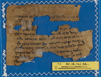 הלכה;ספרות הלכתית ופרשנות תלמודית.