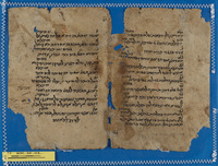 הלכה;רשימות שו"ת;שאלות ותשובות.