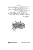 געקליבענע שריפטען / בעל-מחשבות (ד"ר עליאשעוו).