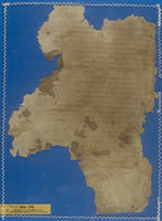 מדעים;רפואה.