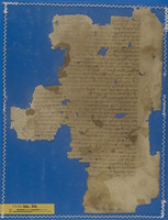 מדעים;רפואה.