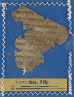 מדעים;רפואה.