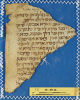 רפואה.