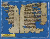 מילונים;ספרות הלכתית ופרשנות תלמודית.