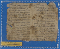 ספרות צופית;רפואה.