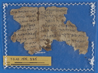 הלכה.