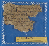 ספרות הלכתית ופרשנות תלמודית;תחום לא מזוהה.