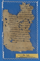 הלכה;תחום לא מזוהה.