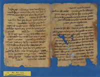 אסלאם;מכתבים;מרשמים מאגיים;פיזיוגנומיה.