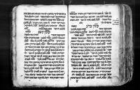 תכלאל.