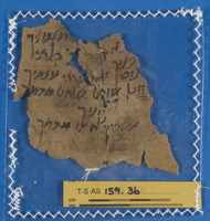 הלכה.