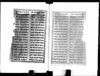 מוסא נאמה.