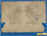 תורת המנחה (הקדמה; מצורע).