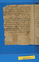 נספחות לחיבור.