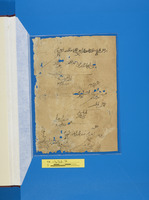 נספחות לחיבור;עזרי הוראה, נסיונות קולמוס, תרגילי כתיבה, שרבוטים;תעודות אישיות ושטרות.
