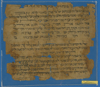 חוזים;חכמת הלשון;מכתבים;שירת חול;תעודות אישיות ושטרות.