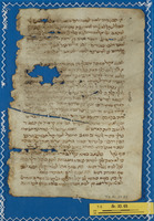 פרשנות מקרא;שרח אל תורה [רס"ג].
