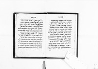 מעשה רבי יוסף דלה רינה.