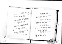 שאהזאדה וצופי.
