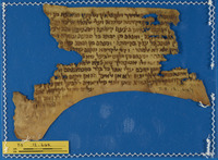תעודות אישיות ושטרות.