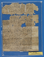 תשובה.