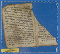 רפואה;תחום לא מזוהה.