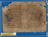דקדוק;חכמת הלשון;מילונים.
