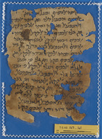 חכמת הלשון.