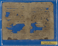 חכמת הלשון.