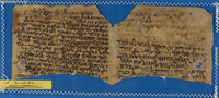 אסטרולוגיה;חכמת הנסתר;מרשמים מאגיים;רפואה.