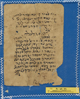 דלאלה אלחאירין;פרמקולוגיה;רפואה.