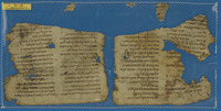 מדרש.
